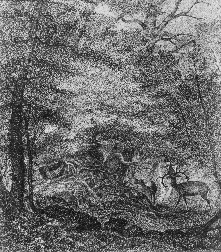 A Refuge from the Storm (Shadow from the Heat) by David Pell Secor