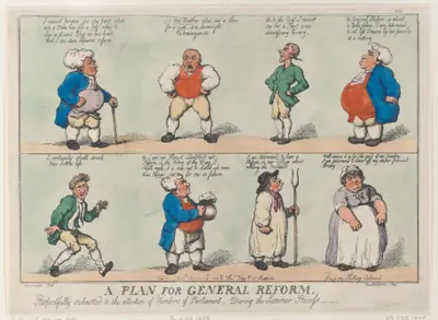 A Plan for General Reform, Respectfully submitted to the attention of Members of Parliament, During the Summer Reccess