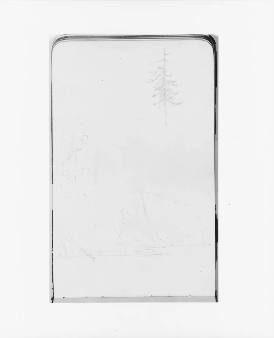 Sketches of a Cliffside and a Tree (from Sketchbook) by Albert Bierstadt