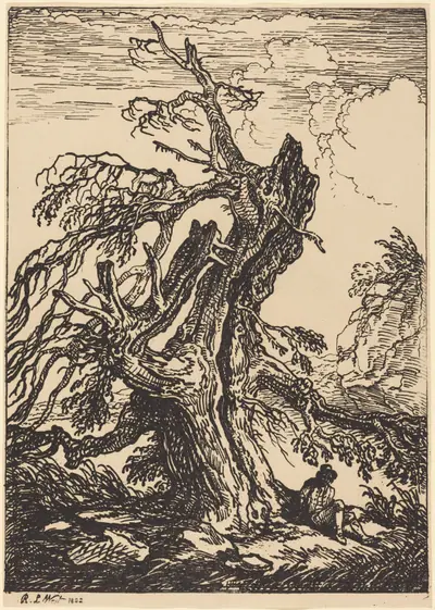 Study of a Tree