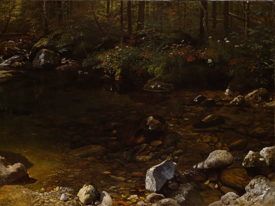 Shady Pool, White Mountains, New Hampshire by Albert Bierstadt, American, b. Solingen, Germany, 1830–1902