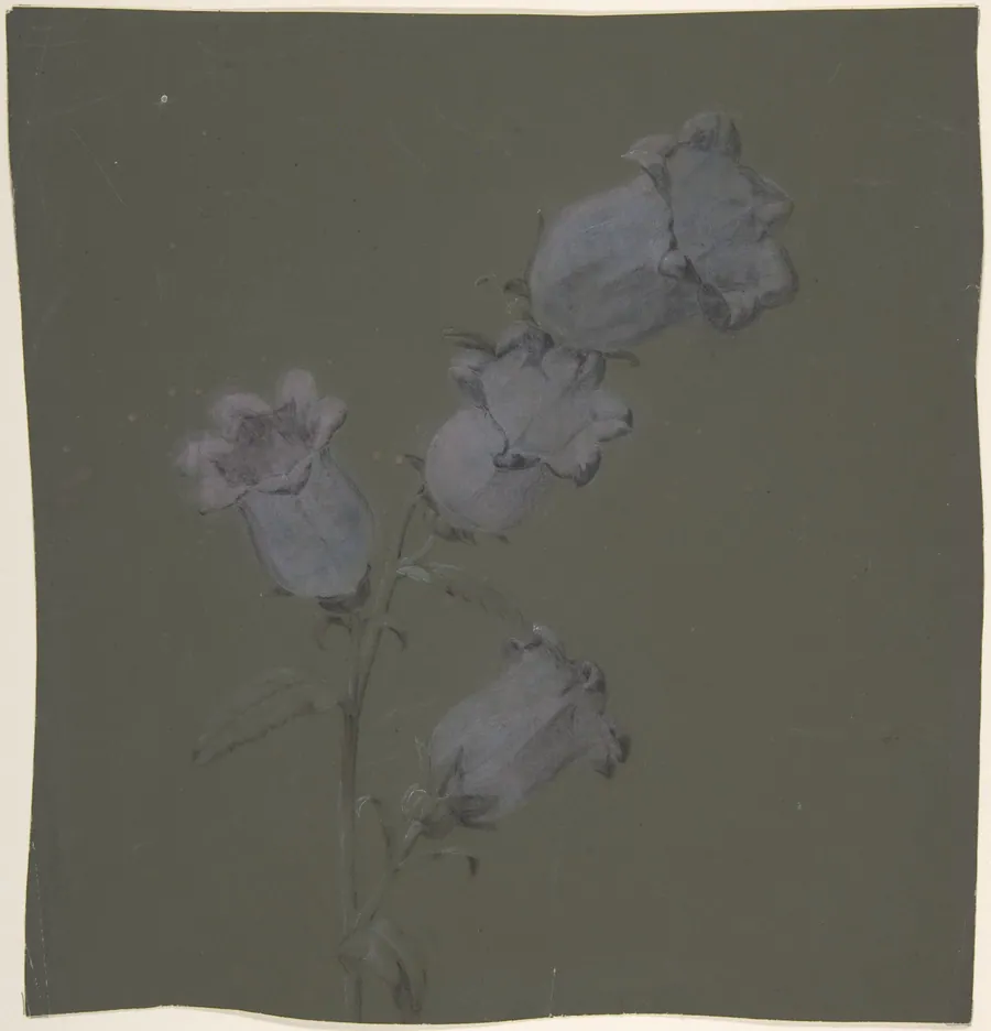 Spray of Canterbury Bells by Antoine Berjon