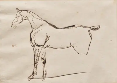 Study of a Horse