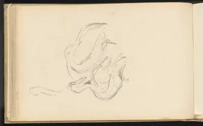 Pelicans