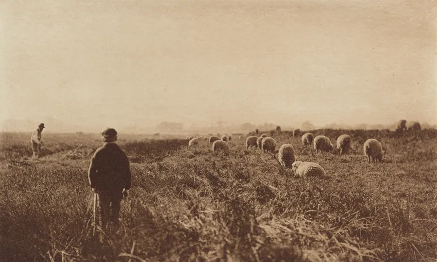 The Marshes in June by Peter Henry Emerson