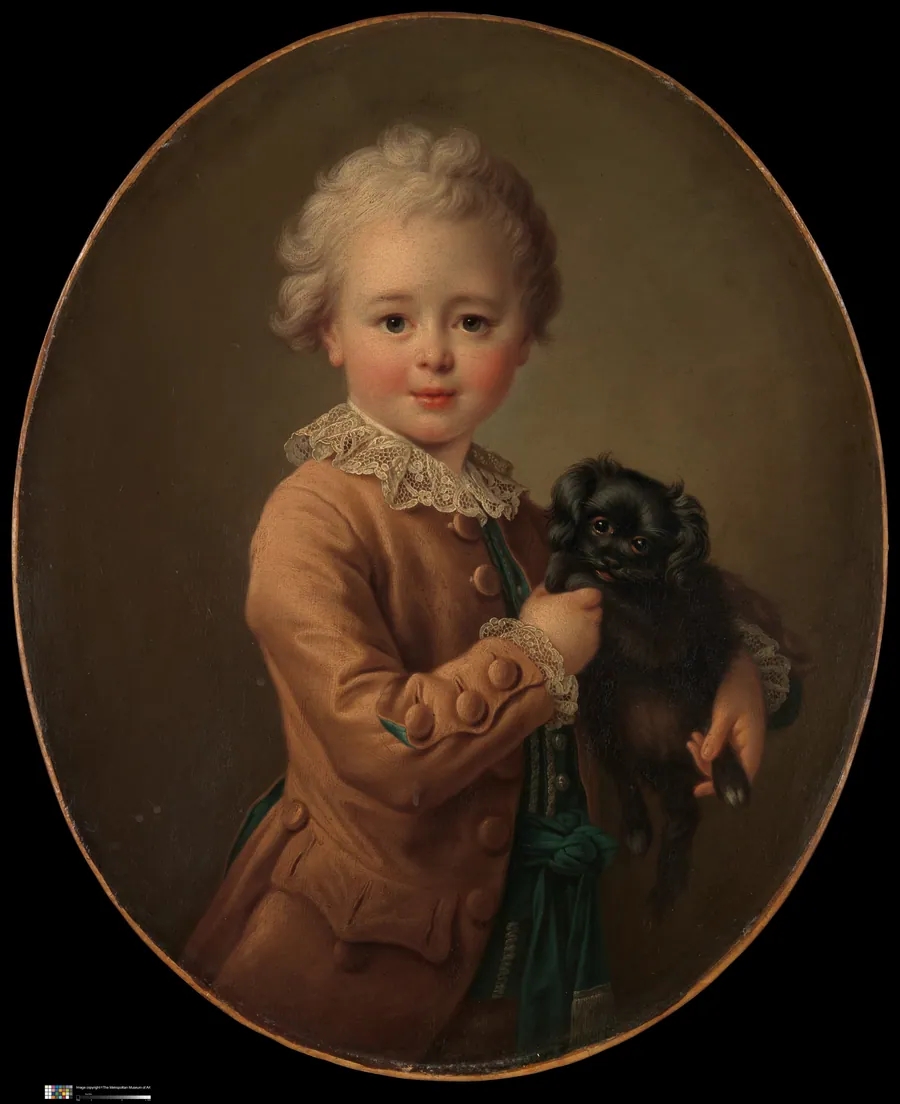 Boy with a Black Spaniel by François Hubert Drouais