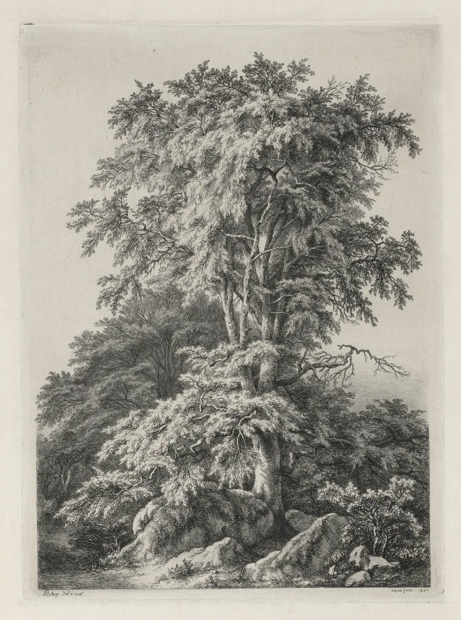 Studies Drawn and Engraved after Nature: The Beach, Fontainebleau (Études dessinées et Gravées D'après nature: Le hêtre, Fontainebleau) by Eugene Bléry