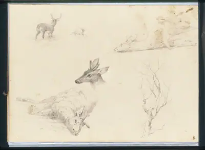Sketchbook of Landscape and Animal Subjects