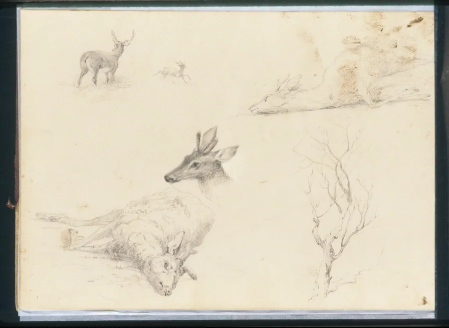 Sketchbook of Landscape and Animal Subjects by Thomas Hewes Hinckley