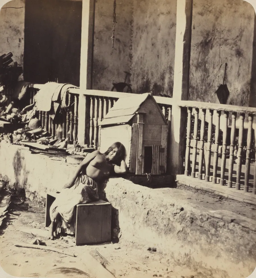 Chien de Garvel (Martinique) by Paul Emile Miot
