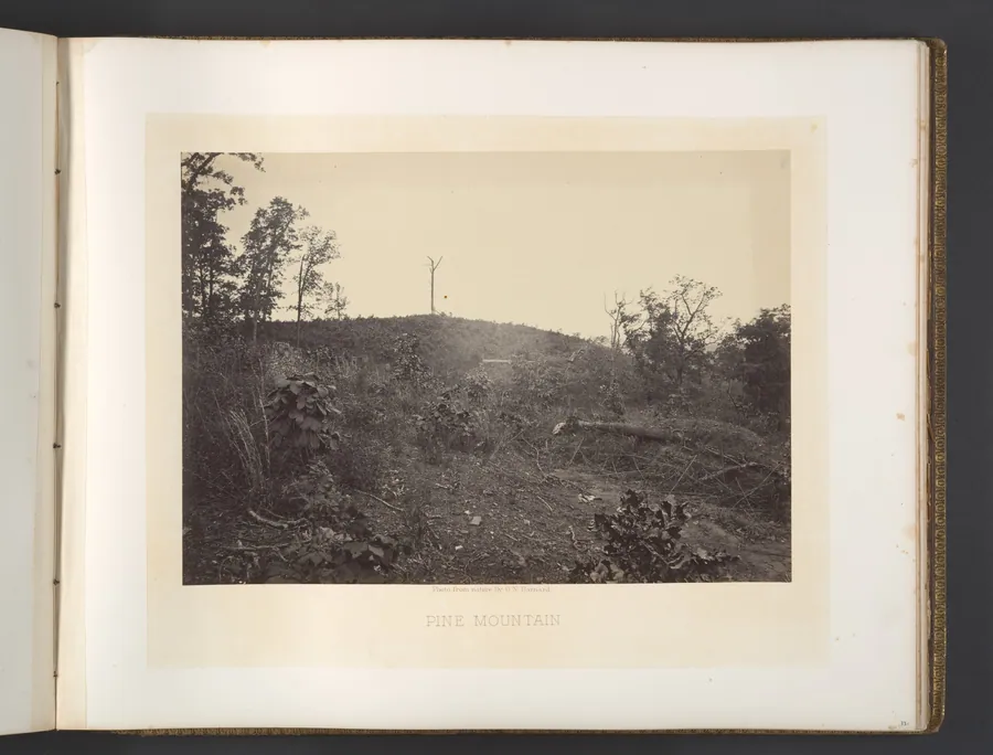 Pine Mountain by George N. Barnard