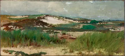 Nantucket Sand Dune
