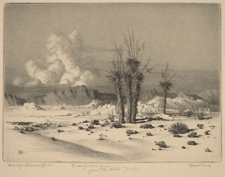 Evening, Arizona by George Elbert Burr