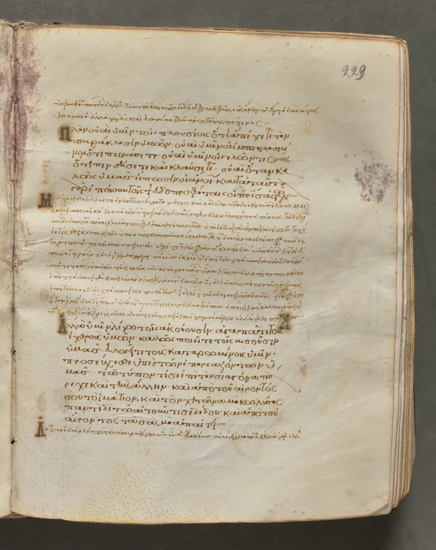 Text, folio 229 (recto), from a Gospel Book with Commentaries