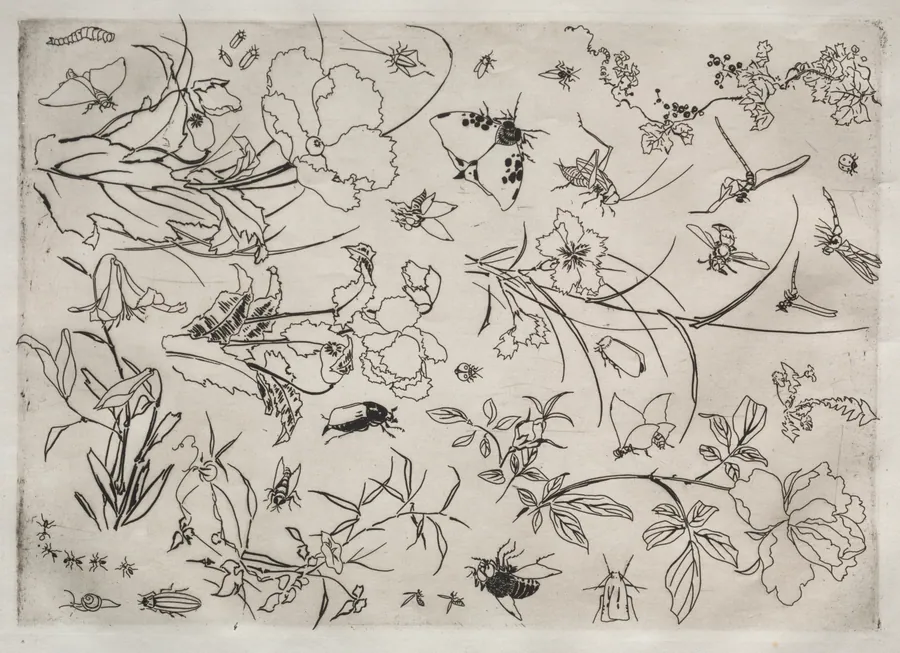 Dinner Service (Rousseau service): Flowers and Insects (no. 15) by Félix Bracquemond