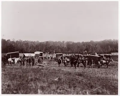 Removing Dead from Battlefield, Marye's Heights, May 2, 1864
