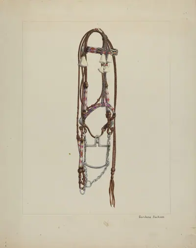 Horse Hair Bridle