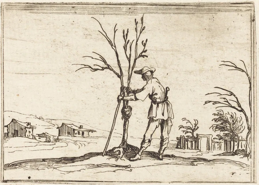 Gardener Pruning a Tree by Jacques Callot