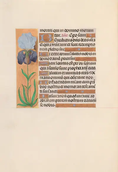 Hours of Queen Isabella the Catholic, Queen of Spain:  Fol. 254v