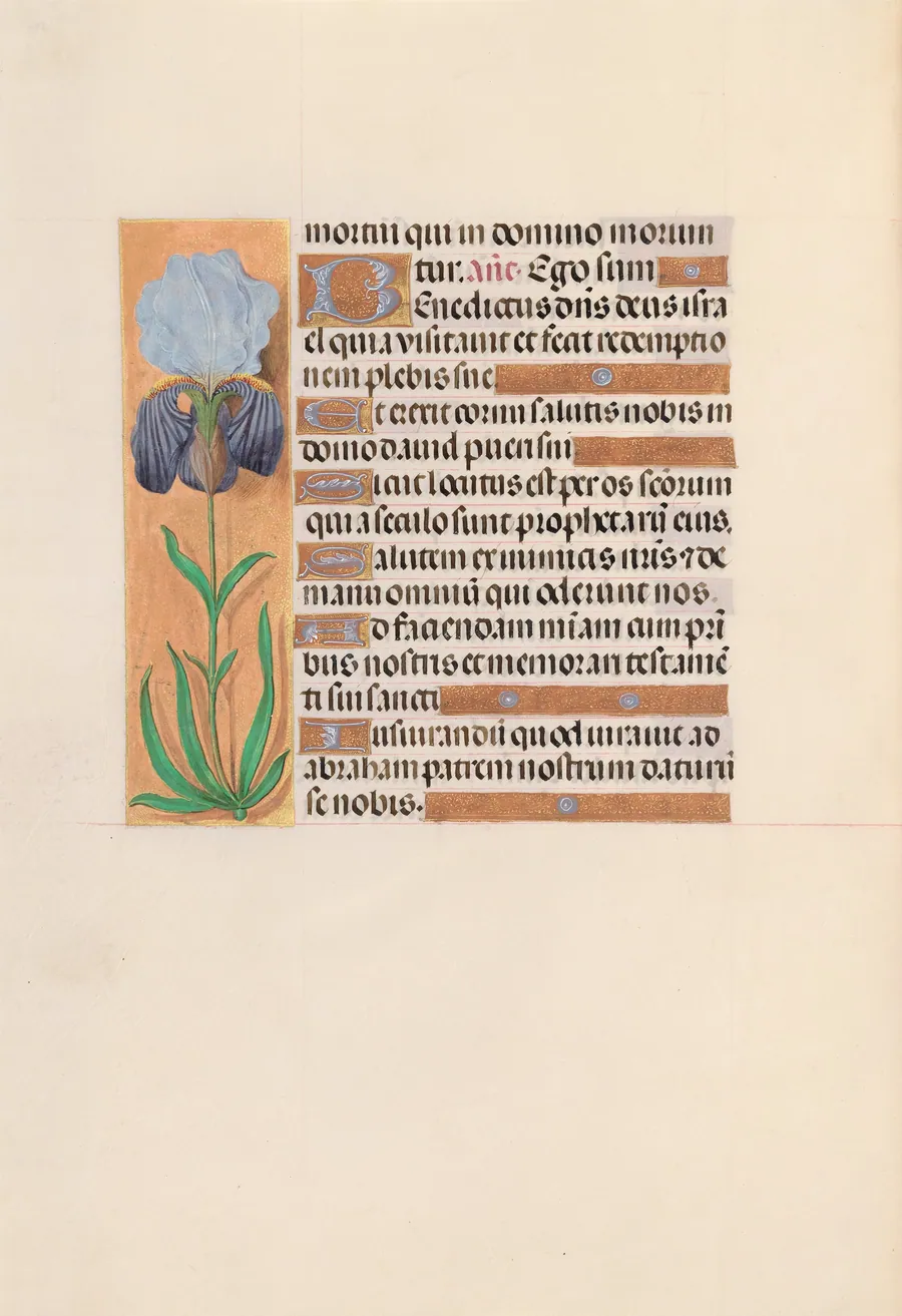 Hours of Queen Isabella the Catholic, Queen of Spain:  Fol. 254v by Master of the First Prayerbook of Maximillian