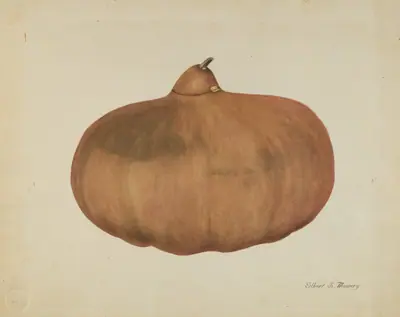 Pioneer Salt Gourd