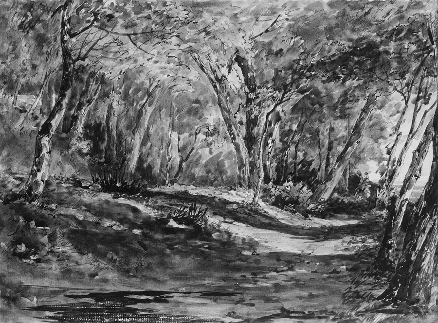 Windsor Forest by John Frederick Kensett