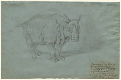 The Rhinoceros "Miss Clara"