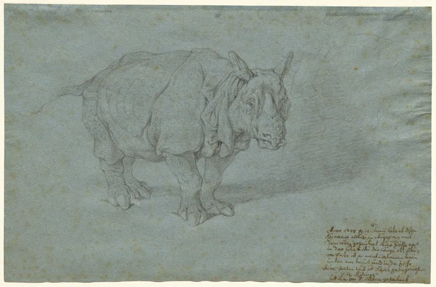 The Rhinoceros "Miss Clara" by Johann Elias Ridinger