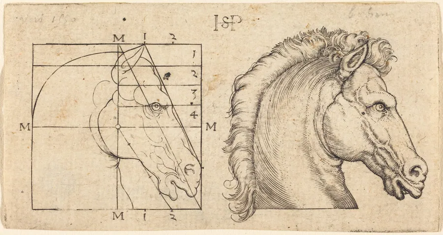 Profile Study of Two Horse Heads by Sebald Beham