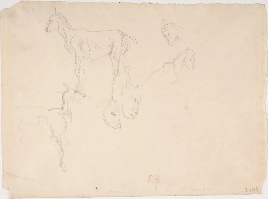 Studies of a Goat by Eugène Delacroix