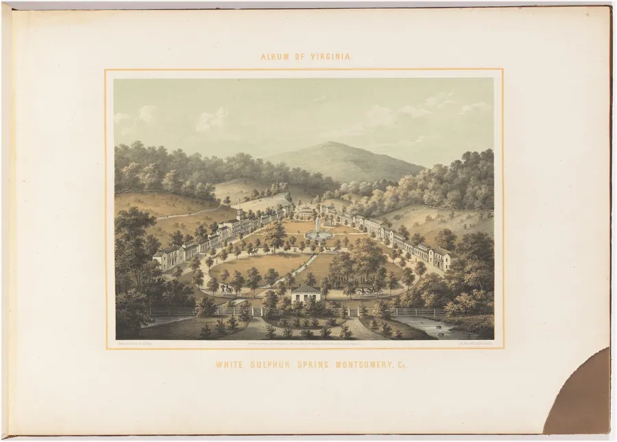 White Sulphur Spring, Montgomery County by Edward Beyer