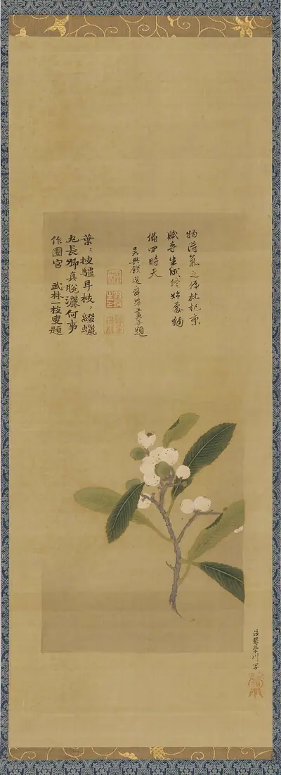 A branch of loquats