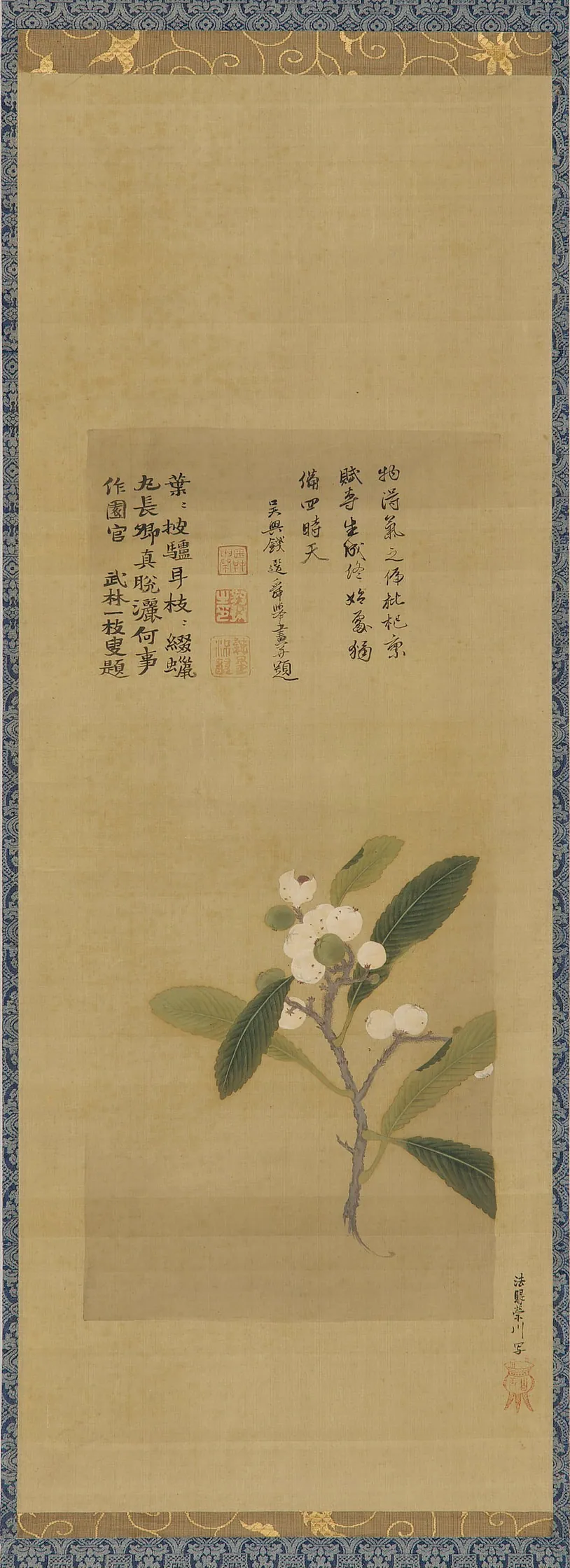 A branch of loquats by Kano Eisen II 狩野栄川 (1730-1790)