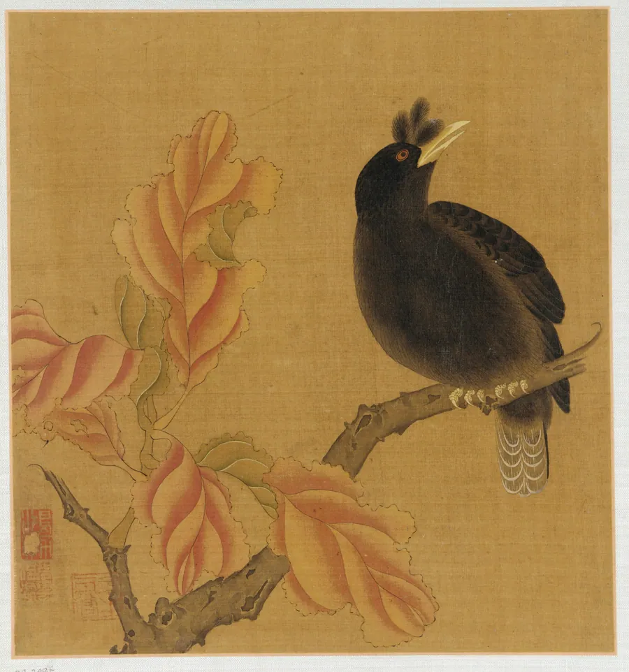 A blackbird on a branch; autumn leaves by Formerly attributed to Zhao Boju (ca. 1120s-ca.1162)