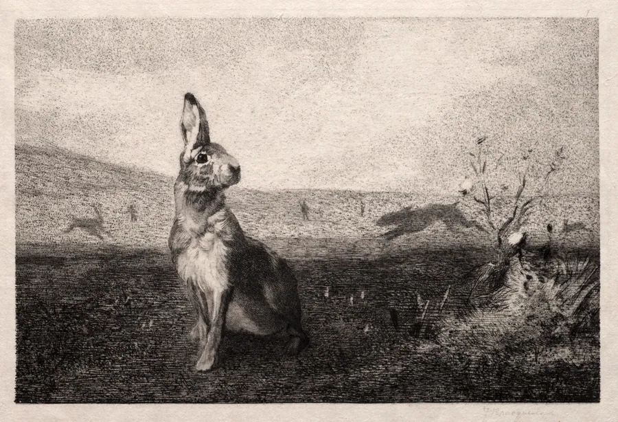 The Hare (after A. de Balleroy) by Félix Bracquemond