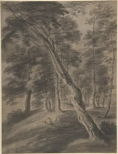 Forest Scene with Tree in Foreground