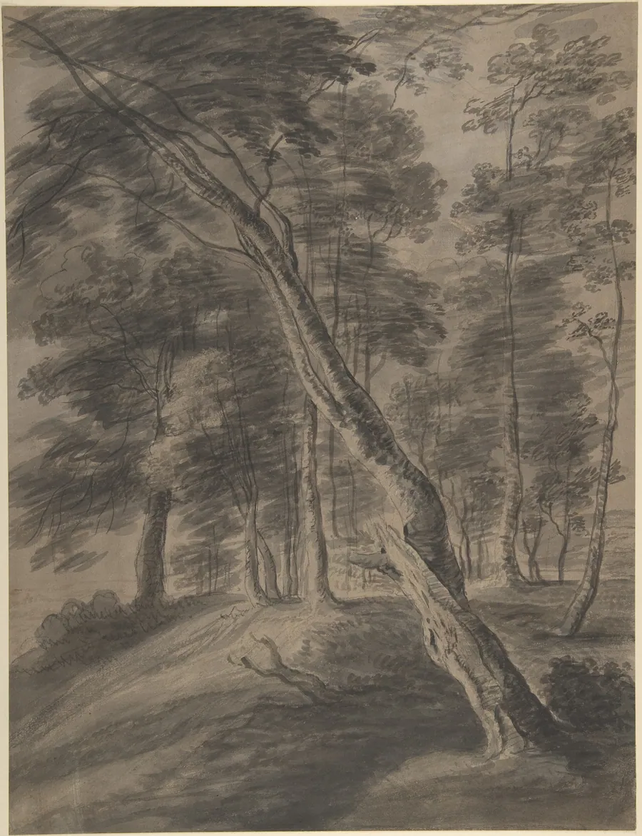 Forest Scene with Tree in Foreground by Jacques d'Artois