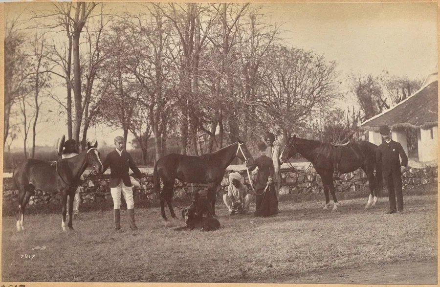 Captain Brown's horses, Jhansi (recto, top) by Raja Deen Dayal