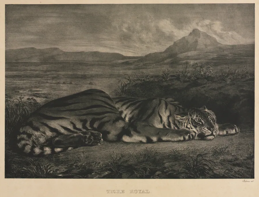 Tigre Royal by Eugène Delacroix