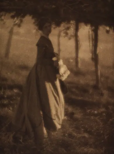 The Arbor