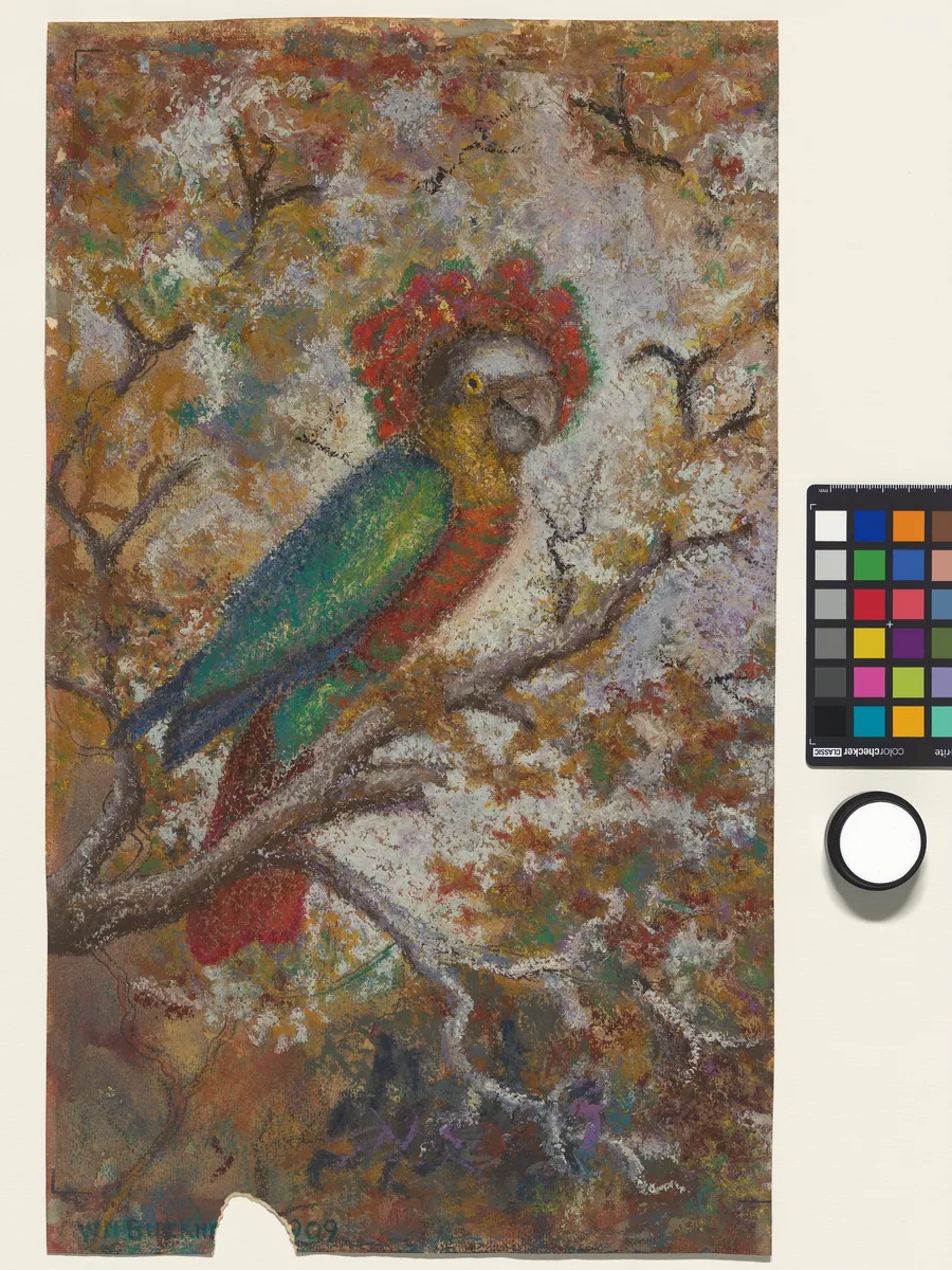 Parrot by William N. Buckner