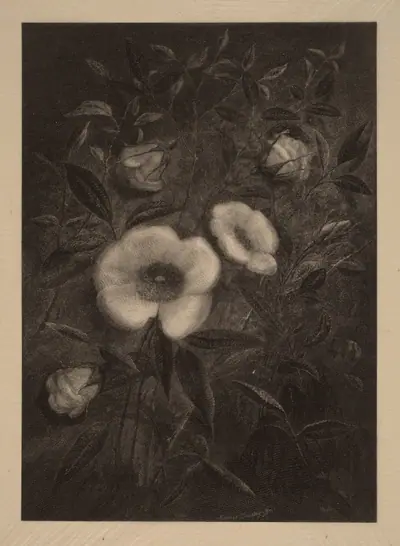 Wild Roses