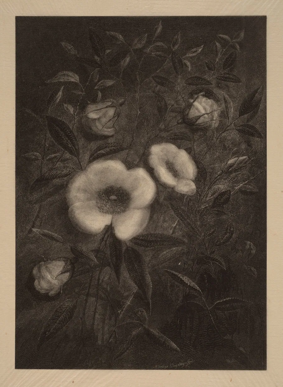 Wild Roses by Elbridge Kingsley