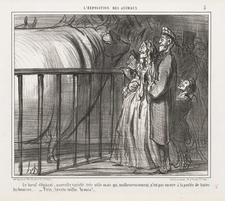 The ox-elephant, a new and very promising breed... by Honoré Daumier