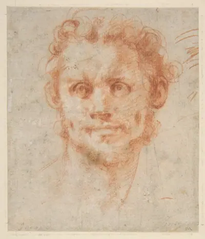 Study of a Man's Head