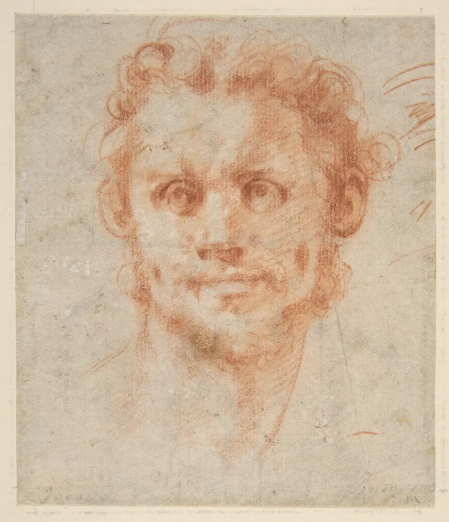Study of a Man's Head by Jacopo da Pontormo (Jacopo Carucci)