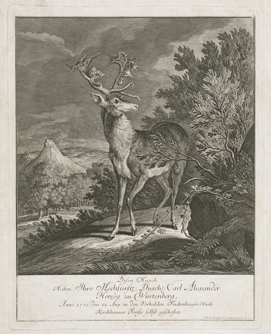 A Magnificent Stag in a Landscape by Johann Elias Ridinger