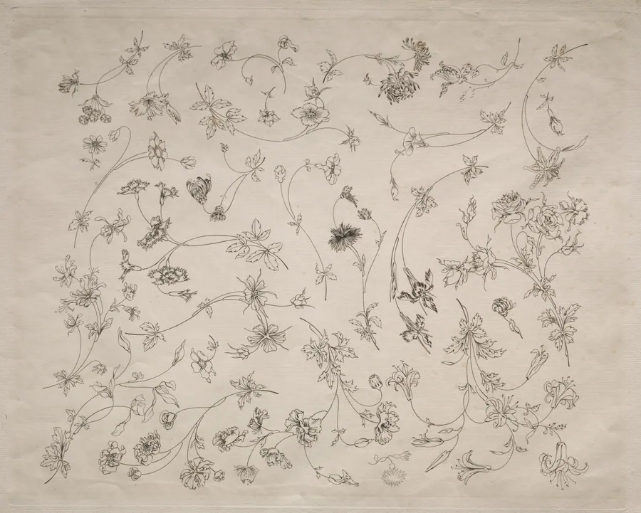 Flower designs for plates and borders (no. 14) by Félix Bracquemond