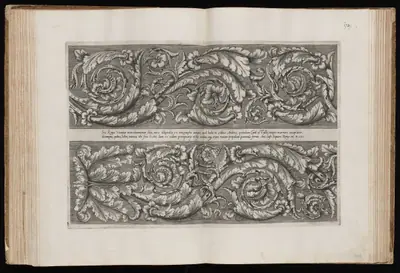 Acanthus Scrolls