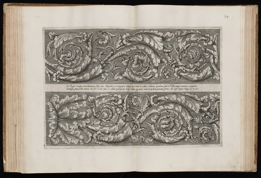 Acanthus Scrolls by Italian 16th Century